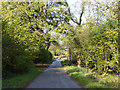 SP4327 : Lane through Worton Wood by Robin Webster