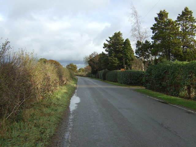 Springe Lane