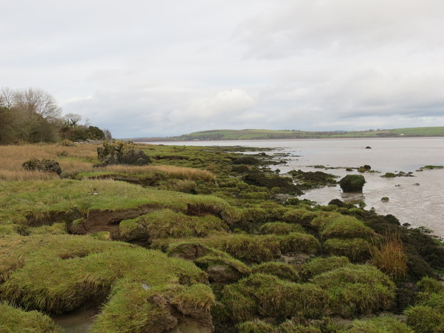 Coastline at the estuary of the River... © John Ferguson :: Geograph ...