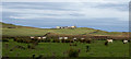 Heather moorland amid cultivated land