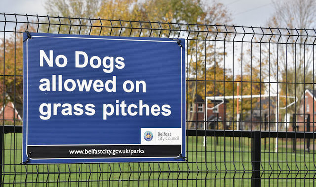 "No dogs" sign, Dixon Park, Belfast (November 2016)