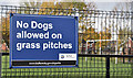 "No dogs" sign, Dixon Park, Belfast (November 2016)