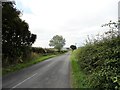 Looking west down the lane