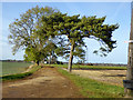 Track to Hornton Hill Farm