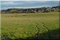 Pasture, Barnton