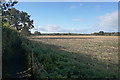 Harvested field by Lower Green