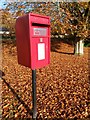 Porton: new-style postbox on Beech Close