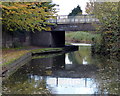 Powke Lane Bridge and the Dudley No.2 Canal