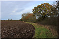 SE4756 : Beside a Ploughed Field near Kirk Hammerton Moor by Chris Heaton