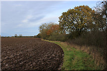 SE4756 : Beside a Ploughed Field near Kirk Hammerton Moor by Chris Heaton