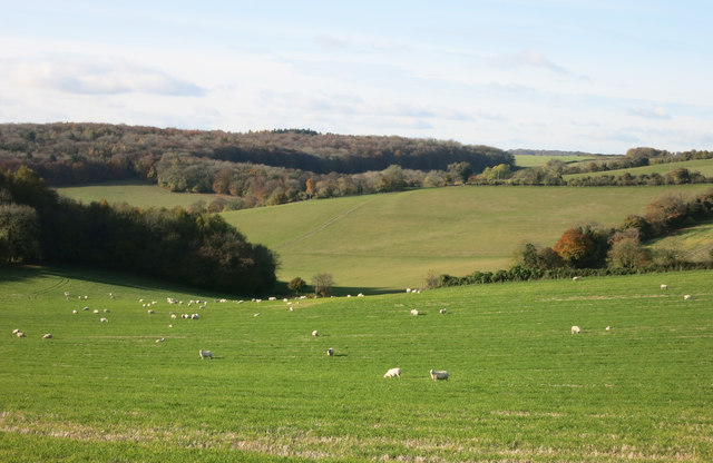 View from Hanover Hill © Des Blenkinsopp :: Geograph Britain and Ireland