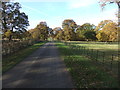 Parkland near Cliffe Hall