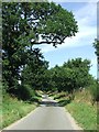 TL8599 : Minor Tree Lined Road by Keith Evans