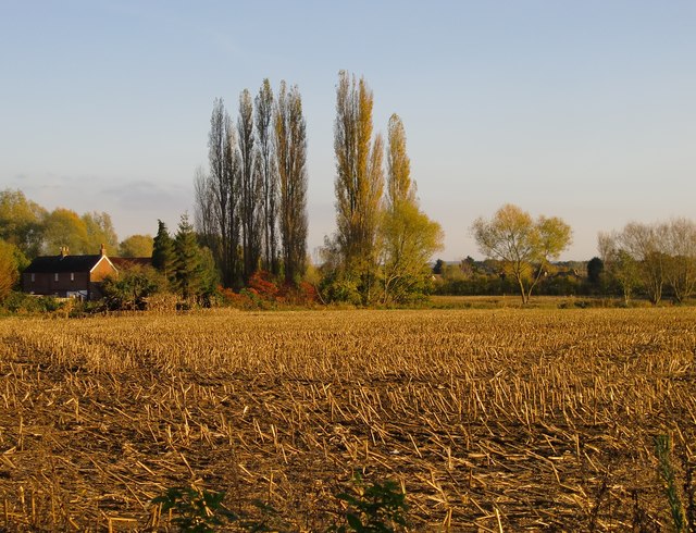 Farmland south of the Tannery site, November