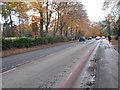 Hookstone Road - viewed from Hookstone Drive