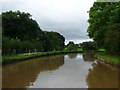 Bend on the Middlewich Branch, near Polestead Wood