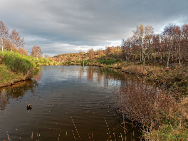 Pond in Craigiehowe Wood
