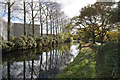 The Staffordshire & Worcestershire Canal near Four Ashes