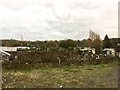 Fenton Allotments