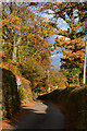 Teignbridge : Country Road