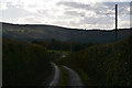 Teignbridge : Country Road