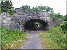 ST4553 : Bridge on the disused railway line by Rod Allday