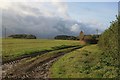 Ridgeway Lane near Hinton St Mary