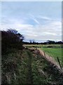 TQ6403 : Footpath near Pevensey Castle by PAUL FARMER