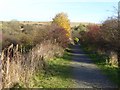 NZ3953 : Cycle path to Ryhope by Oliver Dixon