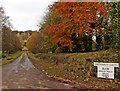 SS9815 : Entrance drive, Chevithorne Barton by Roger Cornfoot