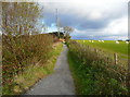 Path along the edge of Llyn Llech Owain Country Park