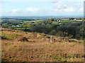 View from the boundary of Llyn Llech Owain Country Park