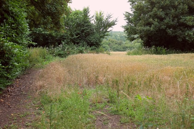 Wheat by Lake Hill Cottages