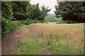 Wheat by Lake Hill Cottages