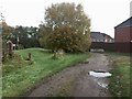 Newcastle-under-Lyme: lane and footpath through suburb