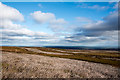 NY9931 : Grouse moor on Long Man by Trevor Littlewood