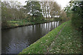 Towpath by the Staffordshire & Worcestershire Canal