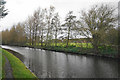 The Staffordshire & Worcestershire Canal near Slade Heath