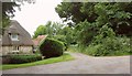 Bridleway, Lake Hill Cottages