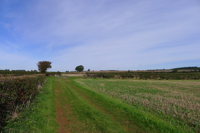 Field track approaching Teigh Road