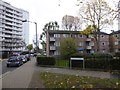 Flats in Livingstone Road, Clapham