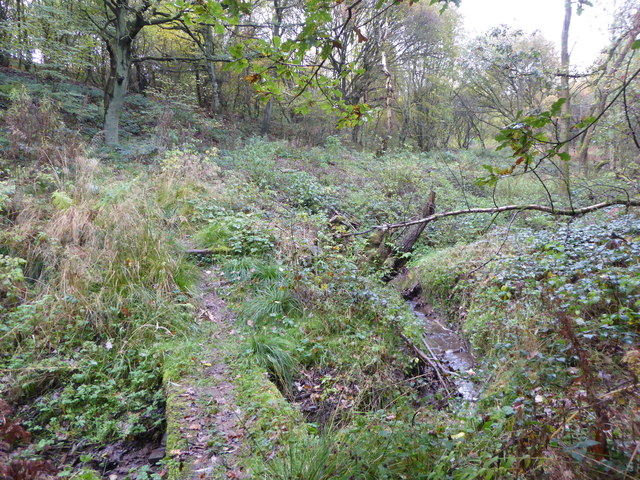 Footbridge over stream in Bradwell Woods © Jonathan Hutchins cc-by-sa/2 ...