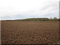 SK7578 : View towards Treswell Wood by Jonathan Thacker