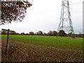 Footpath crosses field by pylon