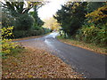 Looking west on Broxmead Lane