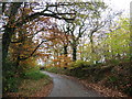 Sharp bend on Sentry Lane