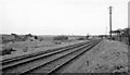 NY1743 : Site of former sidings at Brayton Junction, Maryport & Carlisle Railway 1952 by Walter Dendy, deceased