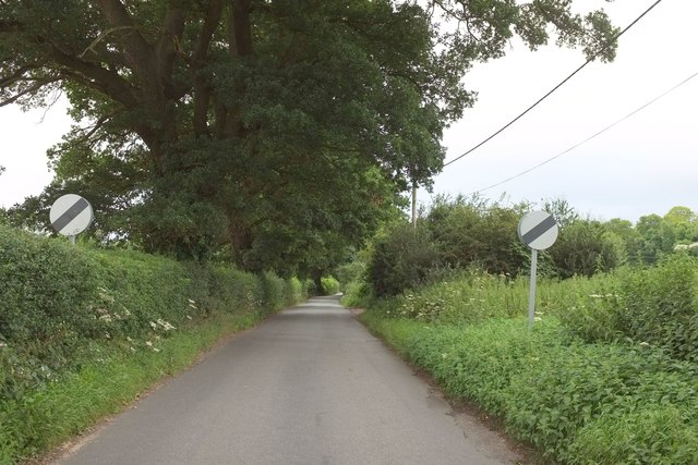 Road from Netton