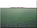 View towards Lodge Farm