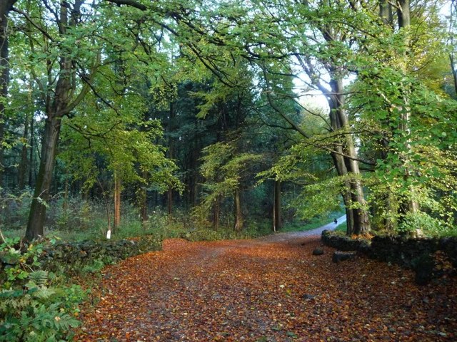 Autumn colour inside the western entrance to Lane Park